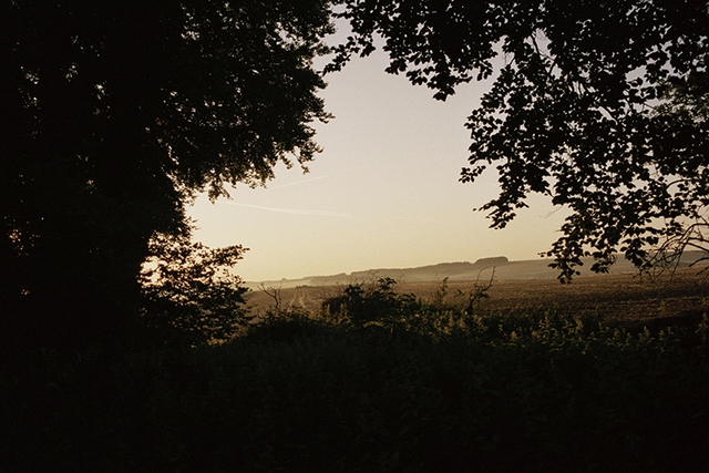 Walgate Wines | Picturesque landscape through trees